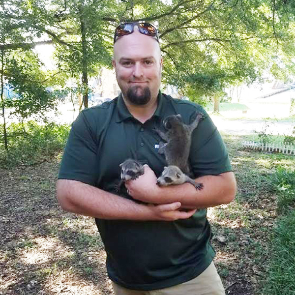 Wildlife X team Oklahoma City worker handline baby raccoons.